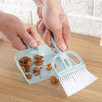 Dustpan With Mini Broom